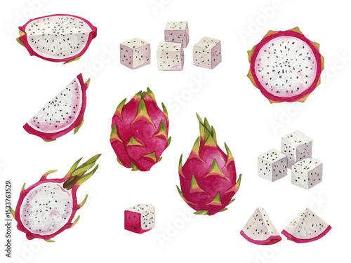 Vector watercolor dragon fruit / 水彩テイストのドラゴンフルーツイラスト