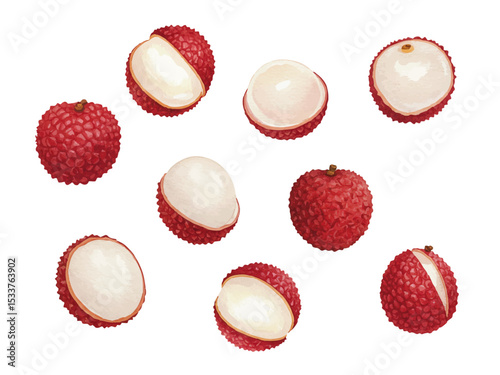 Vector watercolor Lychee / 水彩テイストのライチイラスト