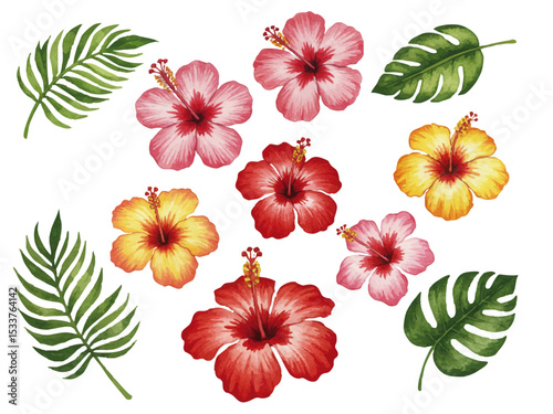 Vector watercolor hibiscus / 水彩テイストのハイビスカスイラスト