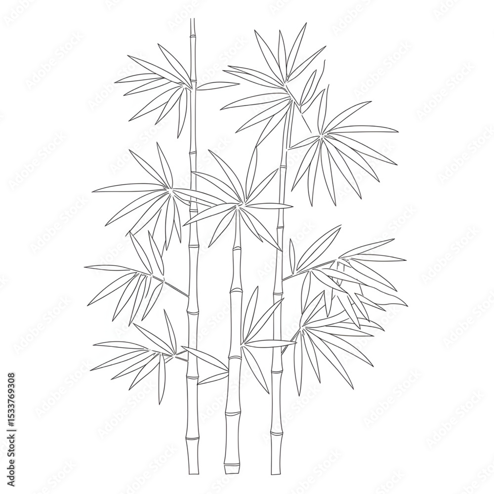Fototapeta premium bamboo vector illustration