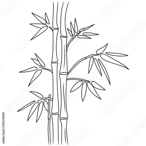 bamboo vector illustration coloring page 