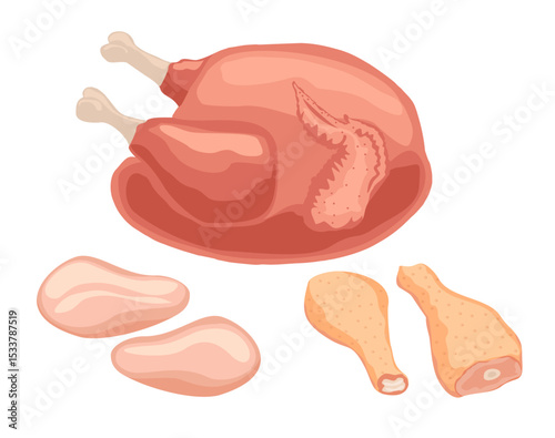 Chicken meat: chicken carcass, chicken legs, breast. Raw chicken with legs and wings, chicken fillet and frozen chicken meat flat vector illustration set
