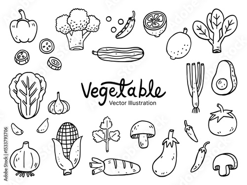 Vector illustration of vegetables Set Collection – food and organic plants concept, hand drawn doodle art style