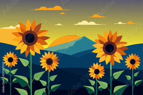 sunflower field in summer