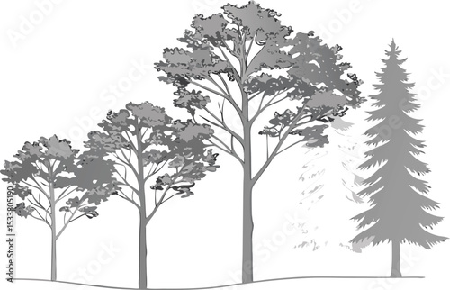 Grayscale forest silhouette depicting variety of trees with detailed foliage and sparse background