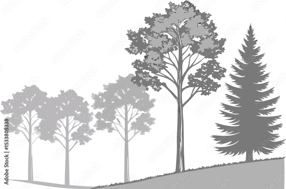 Fototapeta premium Monochrome illustration of various tree silhouettes on a gentle slope with white background