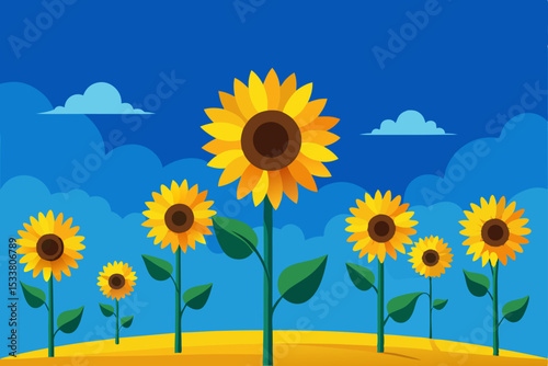 sunflowers on a field