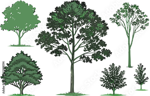 Diverse set of green vector trees in various shapes for nature and design concepts