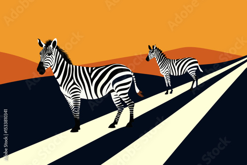 zebra vector illustration