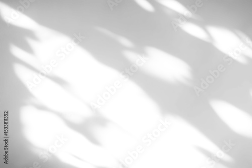 shadow overlay effects of realistic abstract natural tree leaves and window shadow on white wall background,Summer sunlight and shadow overlay effect,shadow for photo interior backdrop studio mockup