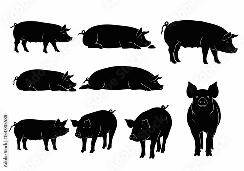 Pigs silhouette collection swine farm animals