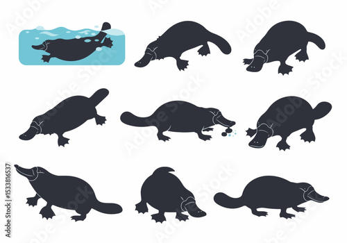 Platypus swimming silhouette animal wildlife mammal icon