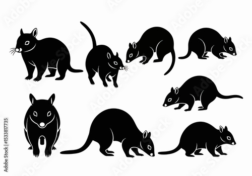 Possum silhouettes black and white animal set
