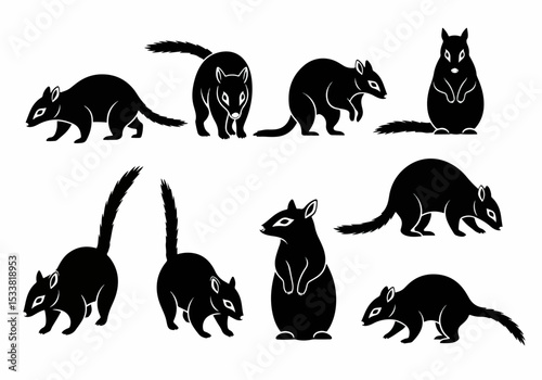 Quoll native animals silhouette set