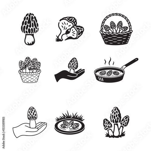 set of nine black and white illustrations depicts various stages of chanterelle mushrooms, from growing in nature to being prepared for cooking vector art on white