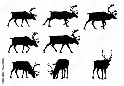 Reindeer silhouette collection group animal wildlife