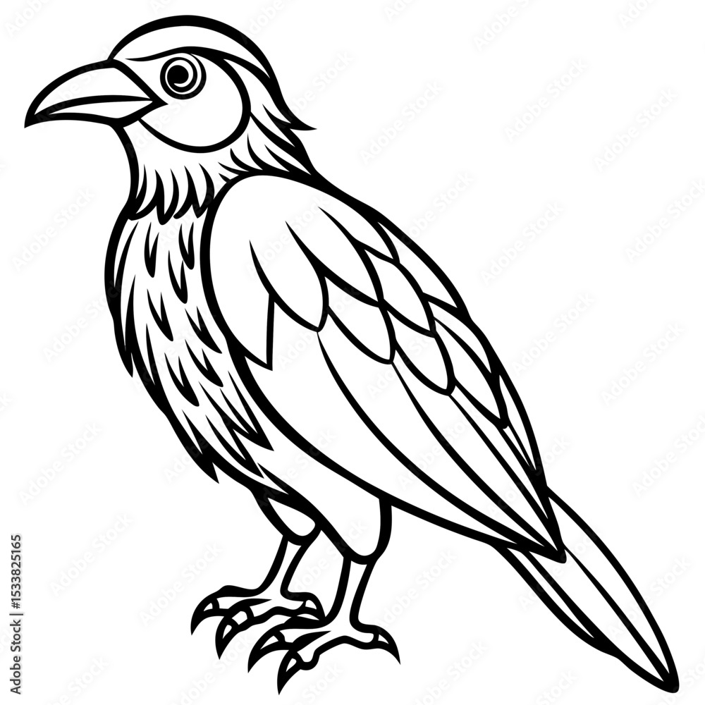 Obraz premium Detailed line art illustration of a crow bird standing profile view style