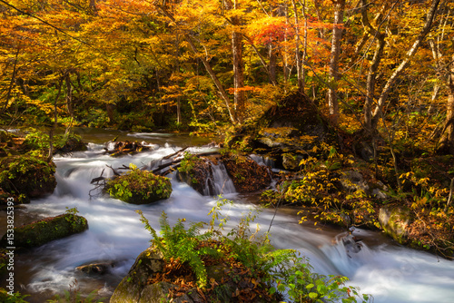 Oirase Stream is a popular place to see autumn leaves in Japan, especially in late October to early November, just before Lake Towada, Tohoku region, Japan