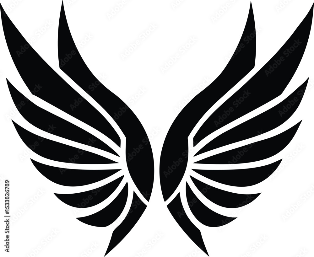 Obraz premium Wings Design