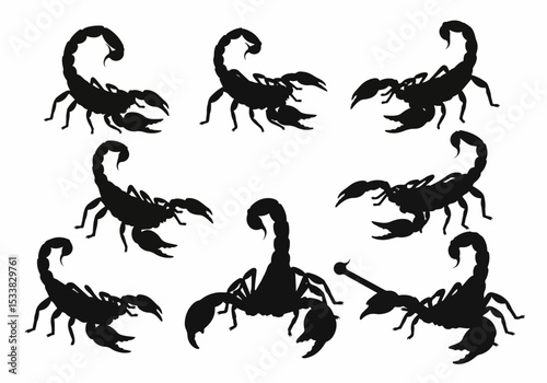 Scorpion silhouette danger poison wild life arthropod