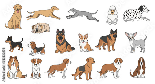 Adobe Illustrator Artwork
