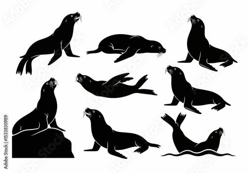 Sea lions marine animal silhouettes ocean wildlife