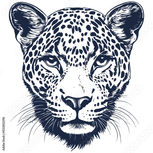 leopard, animal, vector, transparent background, creature, panthera pardus, icon, cute, mammal, zoo, safari, wild, cheetah, predator, isolated, wildlife, nature, feline, carnivore