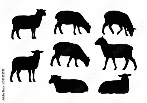 Sheep silhouette set, animal farming mammals
