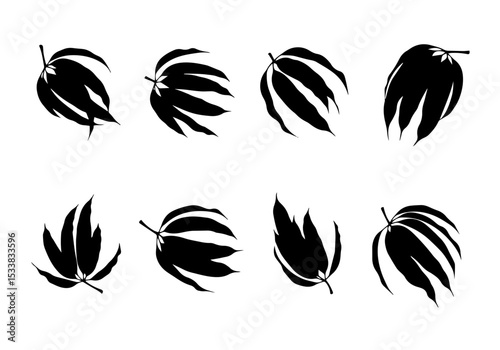 Silhouette leaves leaf foliage nature botanical design