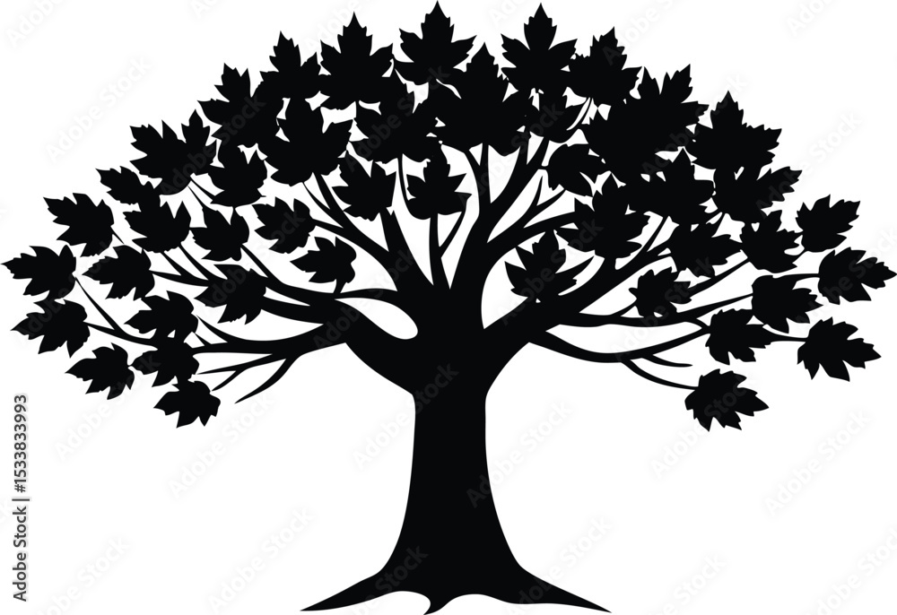 Obraz premium Silhouette Of A Large Tree With Autumn Canopy - Premium Design Element