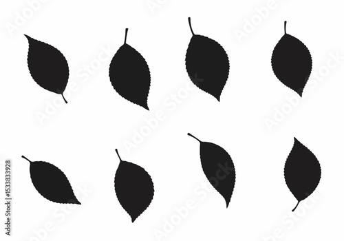 Silhouette of elm leaves isolated on white