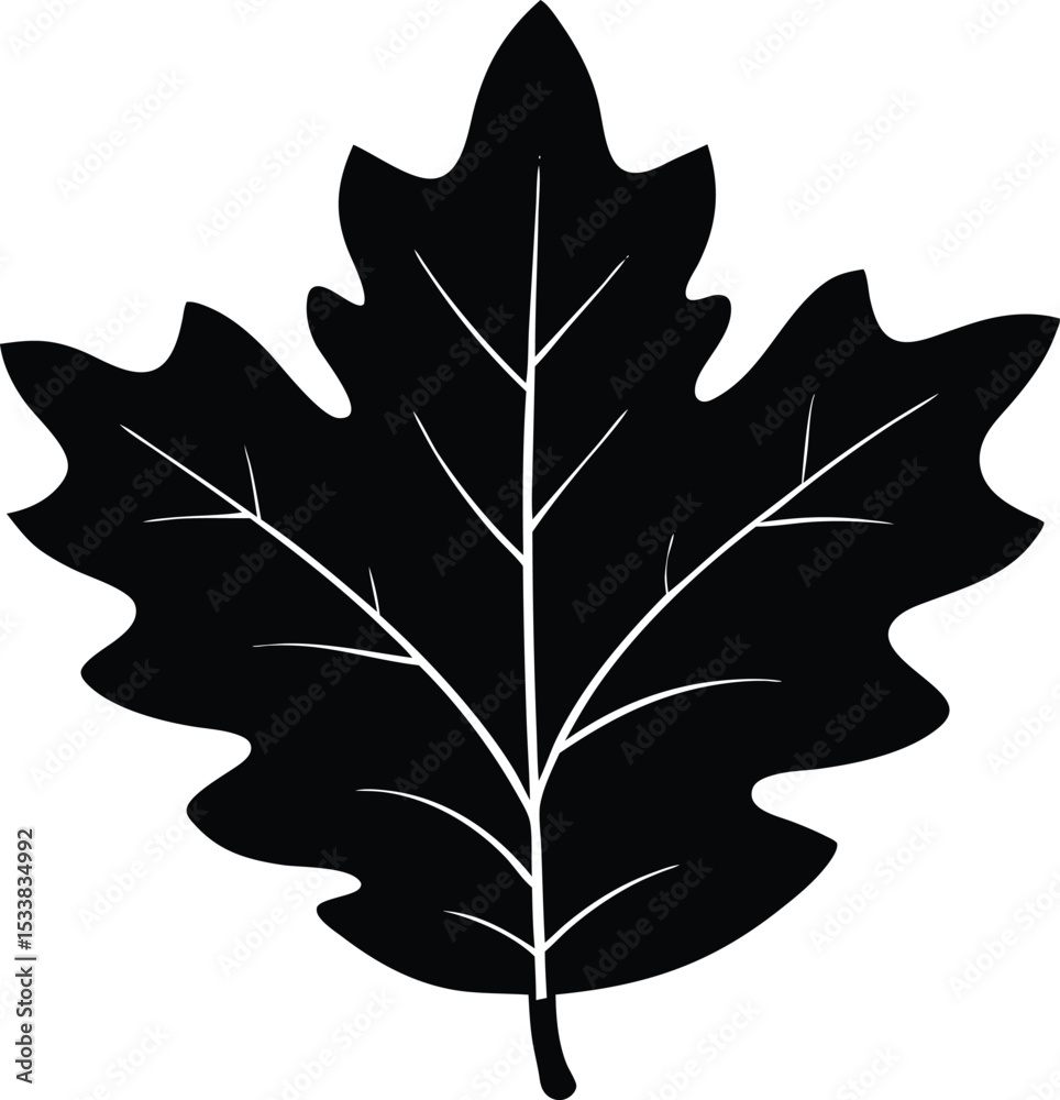 Fototapeta premium Silhouette Of An Oak Leaf With Jagged Edges - Premium Design Element