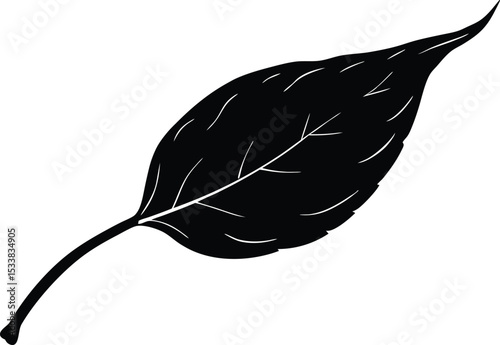 Silhouette Of A Withered Leaf With Stem - High Quality Vector Graphic