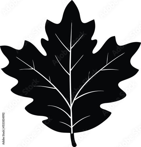 Silhouette Of An Oak Leaf With Jagged Edges - Premium Design Element