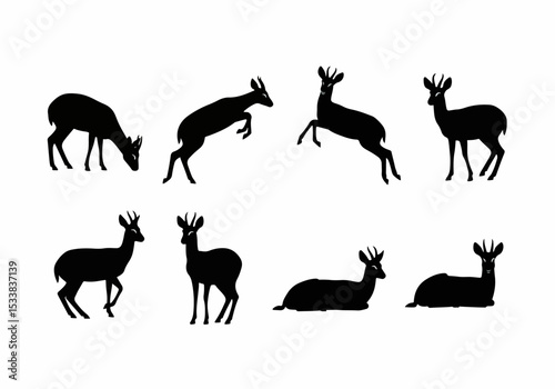 Small Antelope Collection Silhouette