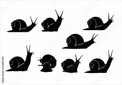 Snail silhouettes, nature, garden pests