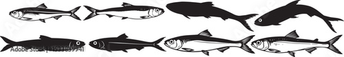 black and white fish
