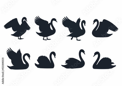 Swan silhouettes, bird shapes, wildlife concept
