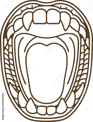 Open human mouth line drawing, detailed oral anatomy, teeth tongue throat dental illustration isolated