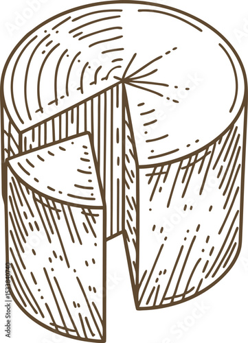 Whole cheese wheel with wedge cut out, detailed hand drawn illustration, rustic dairy food sketch
