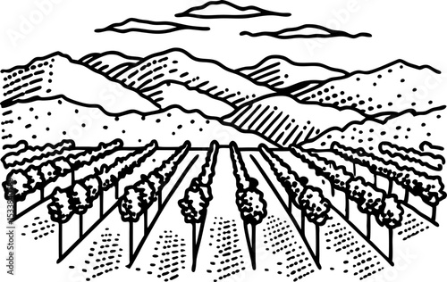 Vineyard fields with rows of grapevines and mountains scenic winery landscape, agriculture nature illustration