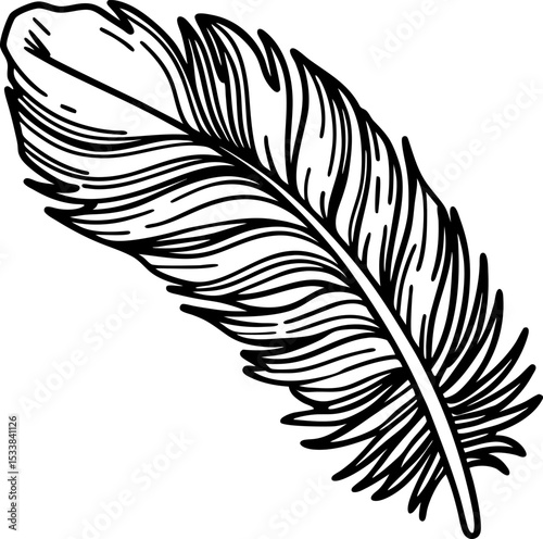 Hand drawn feather illustration black and white line art, detailed decorative bird plume design element