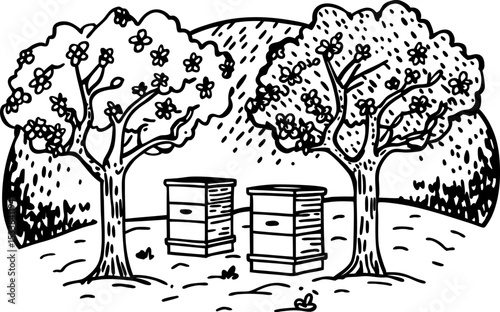 Beehives in orchard with flowering trees spring rural landscape scene, countryside agriculture, pollination concept