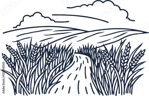 Wheat field rural landscape, winding path leading through tall grain, countryside hills, agricultural farmland