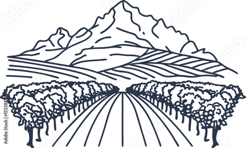 Vineyard landscape with grapevines, field rows and mountains agricultural rural scene, hand drawn sketch