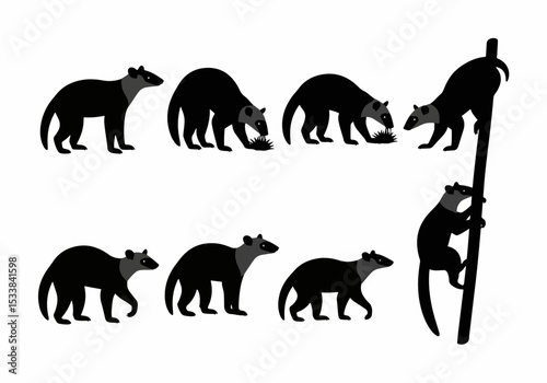 Tasmanian devils climbing, eating, walking silhouettes
