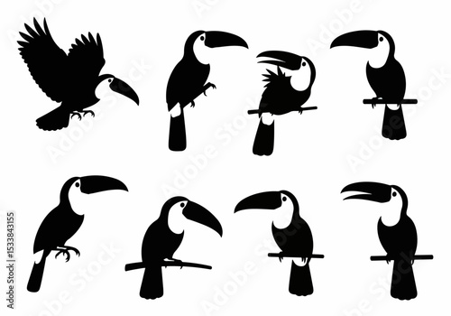 Toucan birds black silhouettes tropical wildlife collection