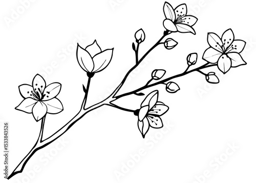 Watercolor cherry bud. Cherry blossom flower blooming vector vintage style Minimalist concept vector illustration