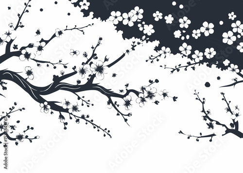 Cherry blossom branch with sakura flower. Sunny cherry blossom background
