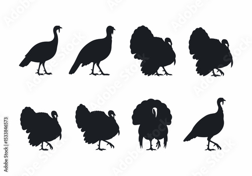 Turkey silhouette collection thanksgiving animal fowl